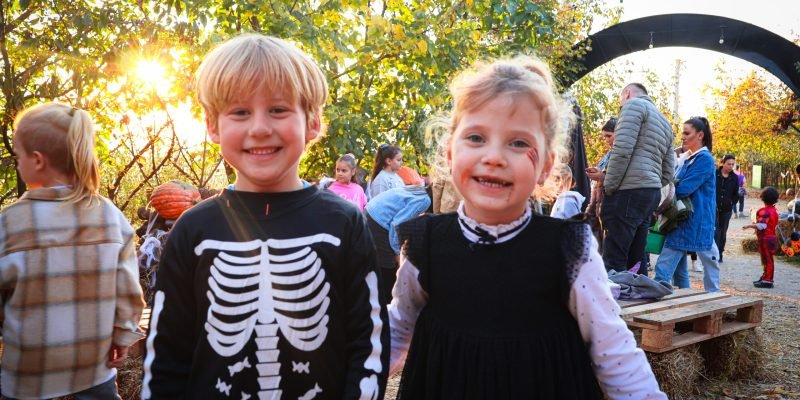 IMG_7975 IMG_7975